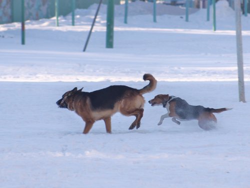 На прогулке