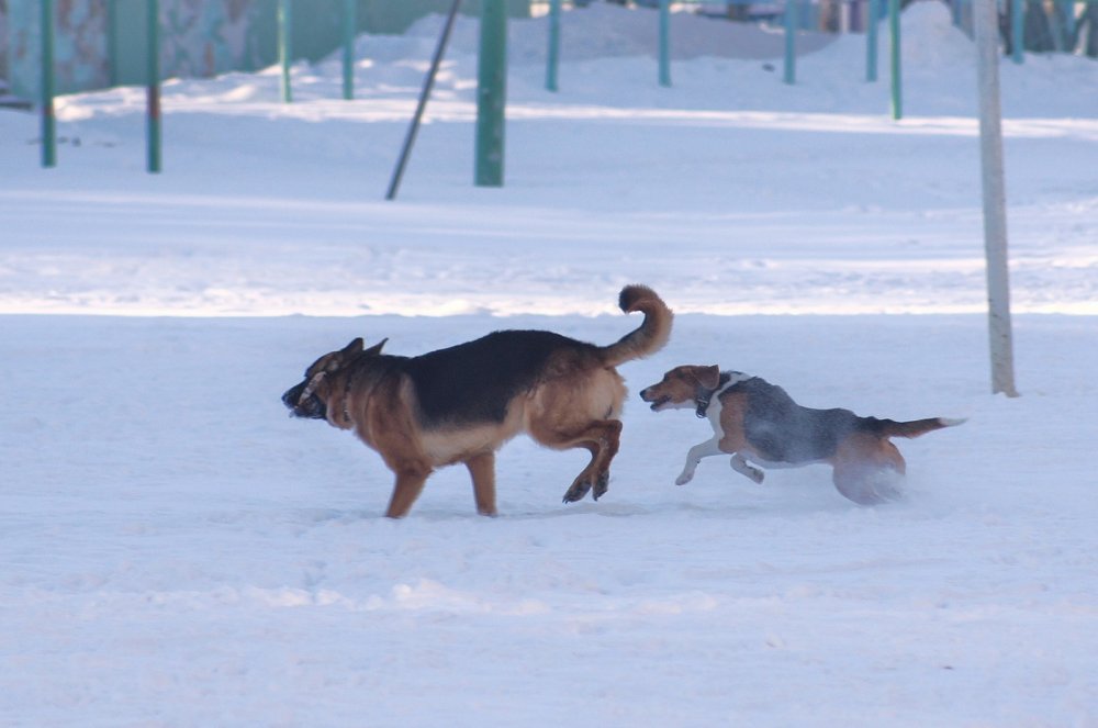На прогулке