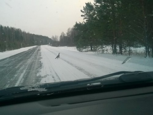 Встреча