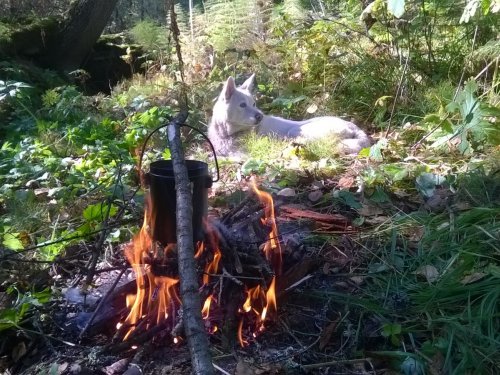Отдохнем немного и дальше пойдем.