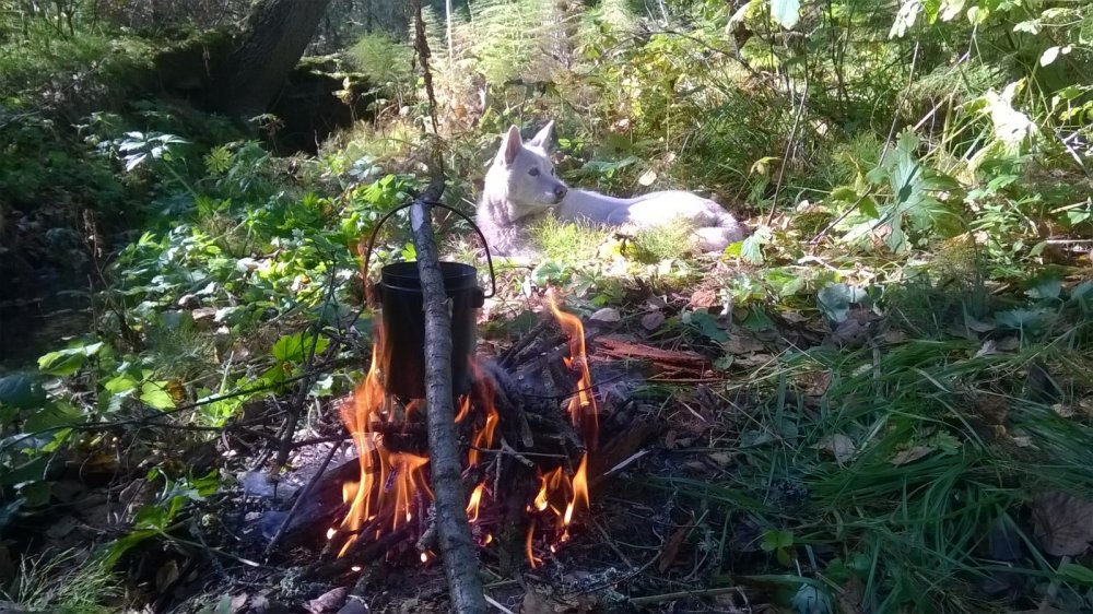 Отдохнем немного и дальше пойдем.