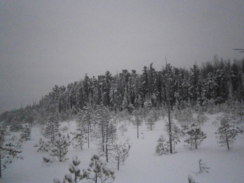 Зима
