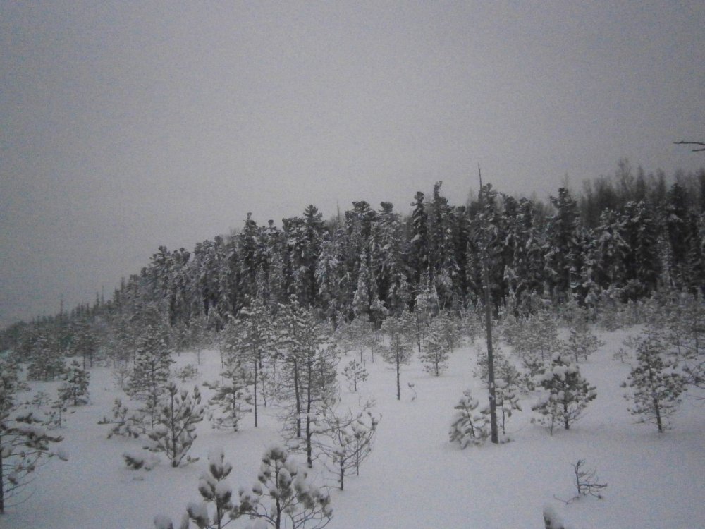 Зима