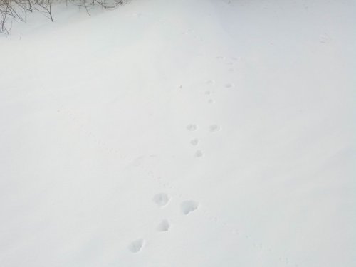 На следу.