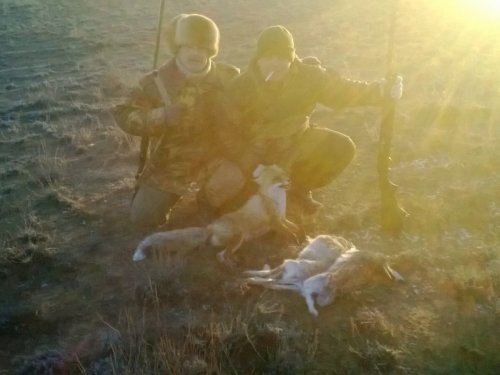Результат одного загона