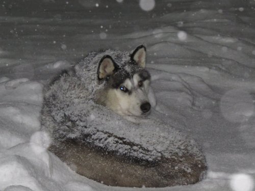 Снежит...