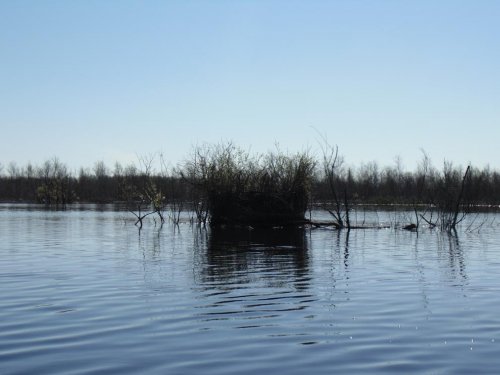Скрадок.
