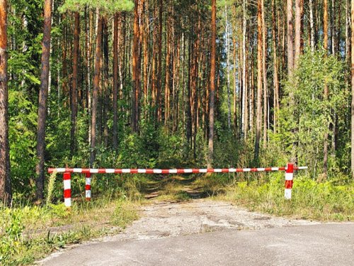 В Госдуму внесен проект о введении платы за посещение природных парков