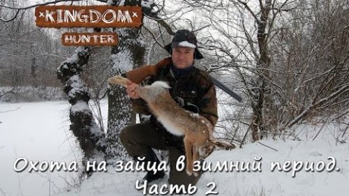Охота на зайца в зимний период.  Часть 2.