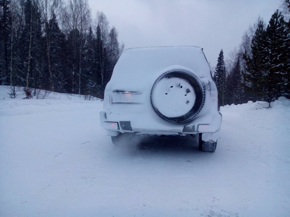 Начало года и начало пути)