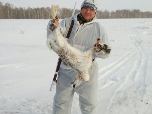 Крайние дни охоты по ушастому...