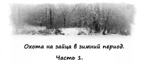Охота на зайца в зимний период.  Часть 1.