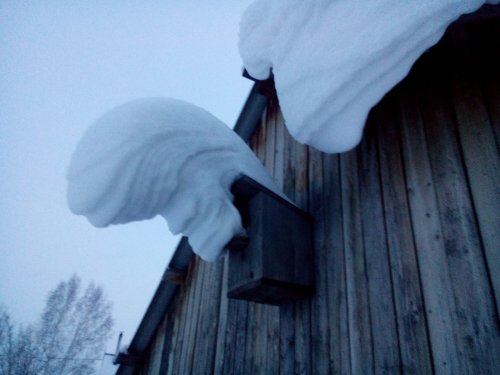 Скворечник
