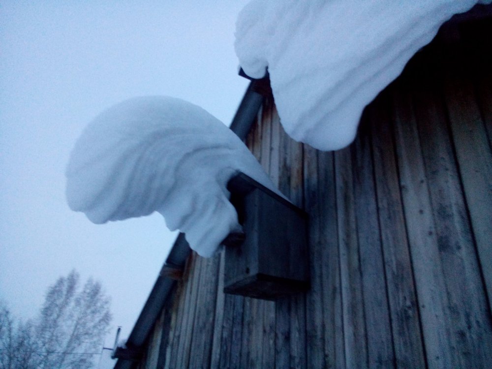 Скворечник