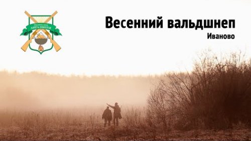 Охота Вальдшнеп 2016.