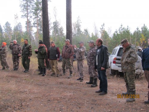 Алтайские состязания гончих по З\Б 2016 г.