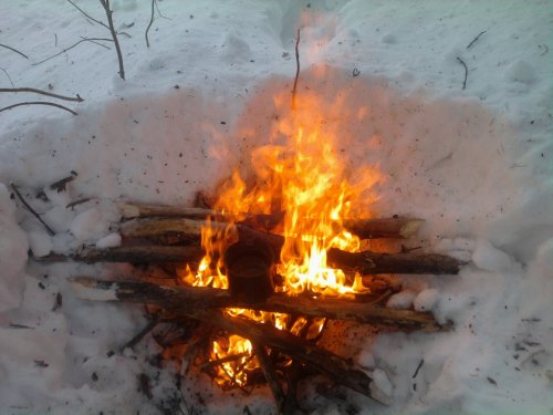 Чаек