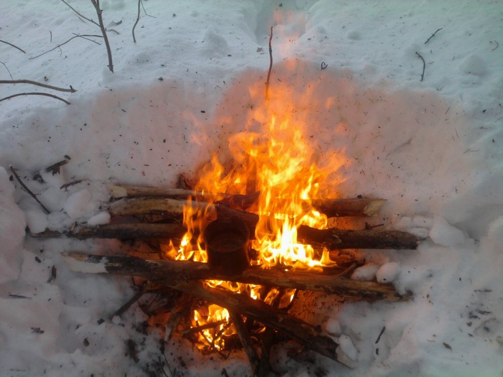 Чаек