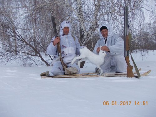 Второй беляк