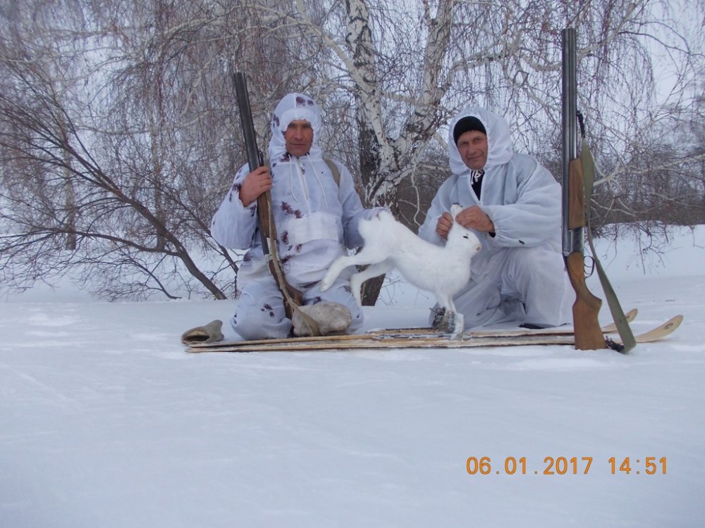 Второй беляк