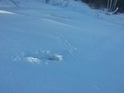 Точно в цель!