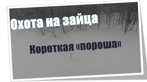 Охота на зайца. Короткая пороша
