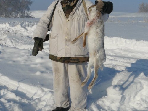 Первый сегодня