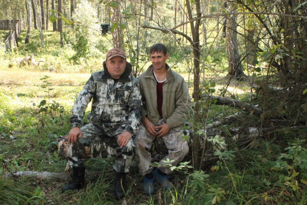 Берендей