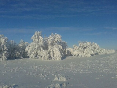 Не кровожадно...
