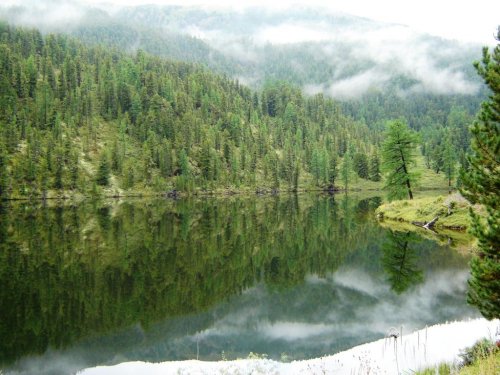 р.Алтай Мёртвое озеро.
