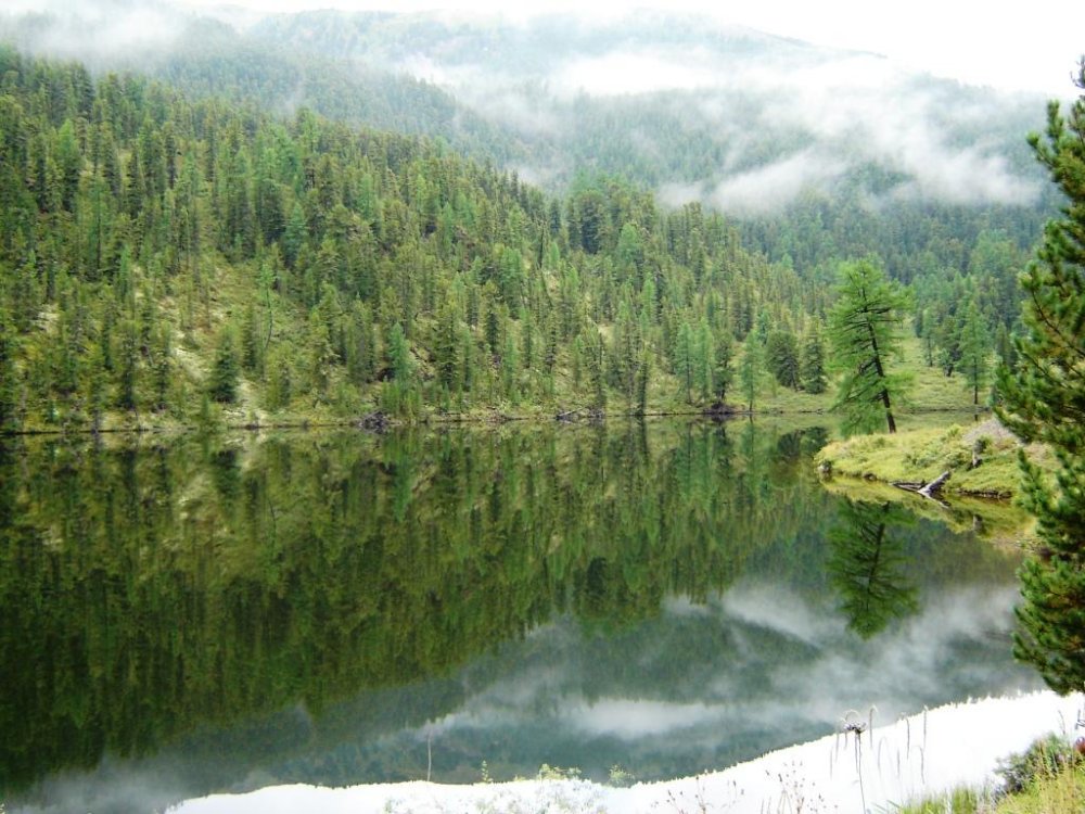 р.Алтай Мёртвое озеро.