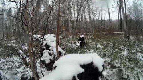 Охота на рябчика с манком. Вот он, красавчик.