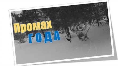 Охота на тетерева. Промах года