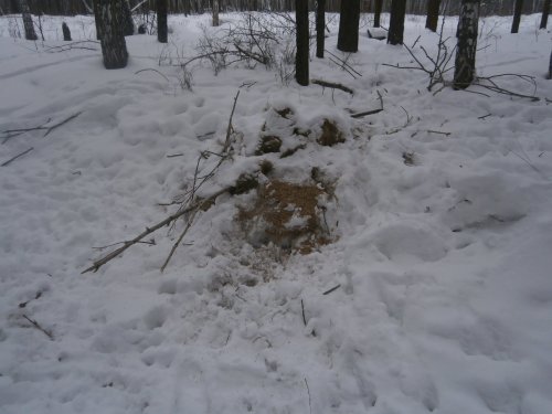 Подкормка для косуль