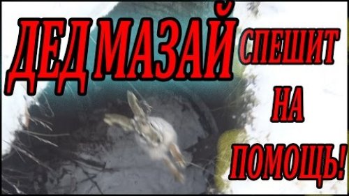 Охота на зайца ( дед Мазай спешит на помощь! )