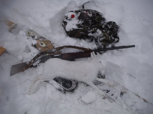 Допрыгался