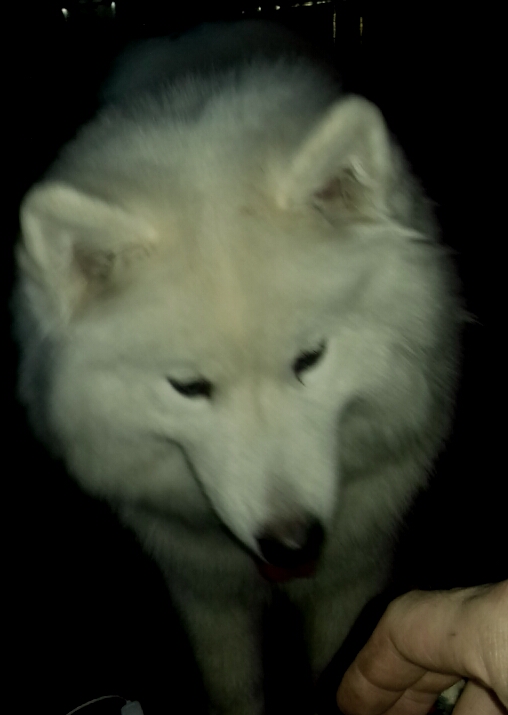 Цоня