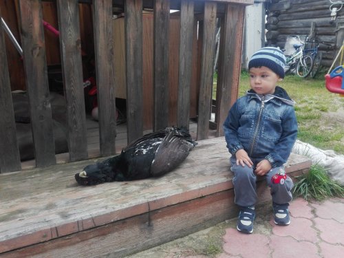 Сын в шоке )))))