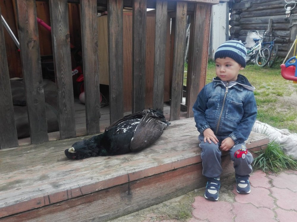 Сын в шоке )))))