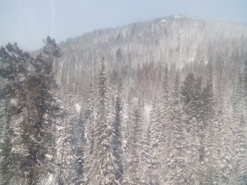 Красота