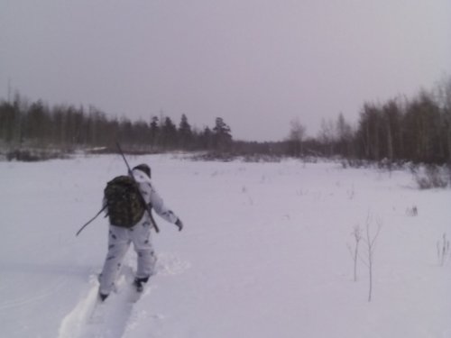 вылозка.