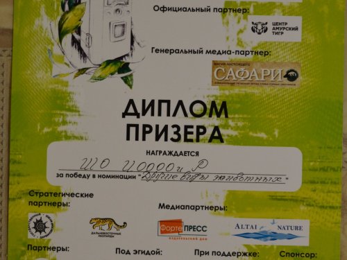 Наконец-то дождался!!!