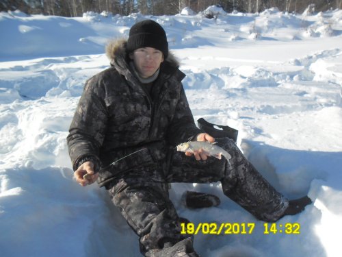 Мега ельчик