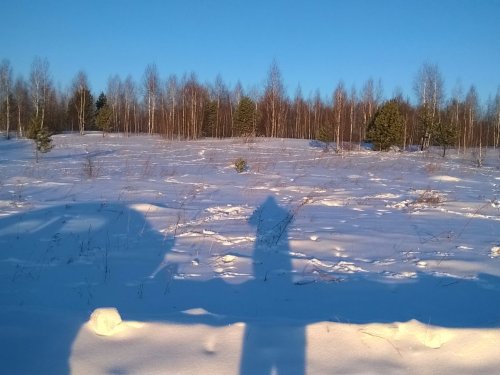 Утоптали полянку рядом с дорогой