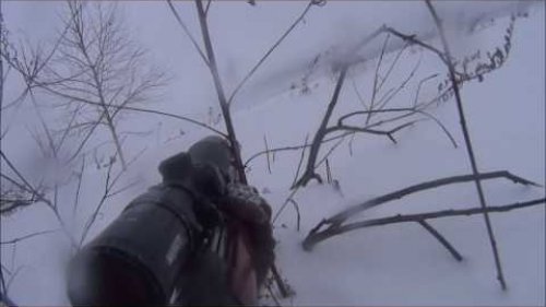Охота на зайца. Третий заяц в этом сезоне