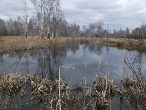 озерцо весной