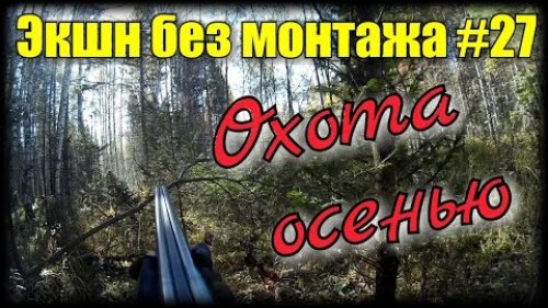Охота на рябчика осенью с манком