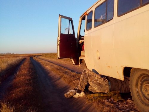 опятьдвадцатьпять