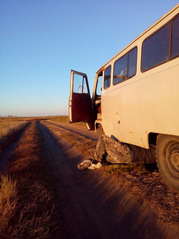 опятьдвадцатьпять