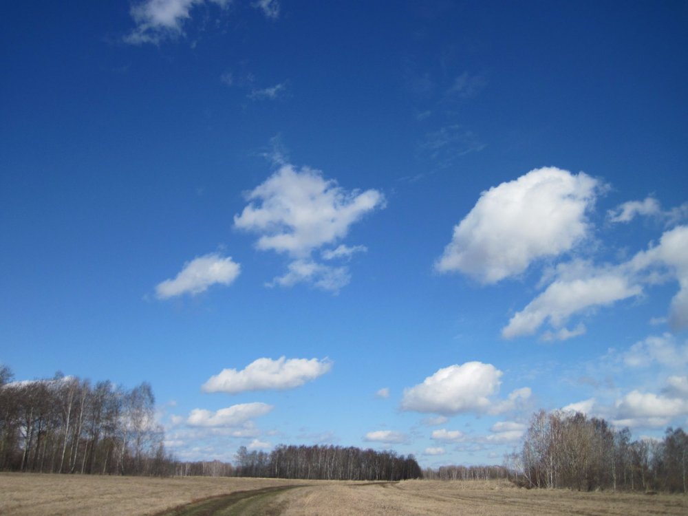 весна)